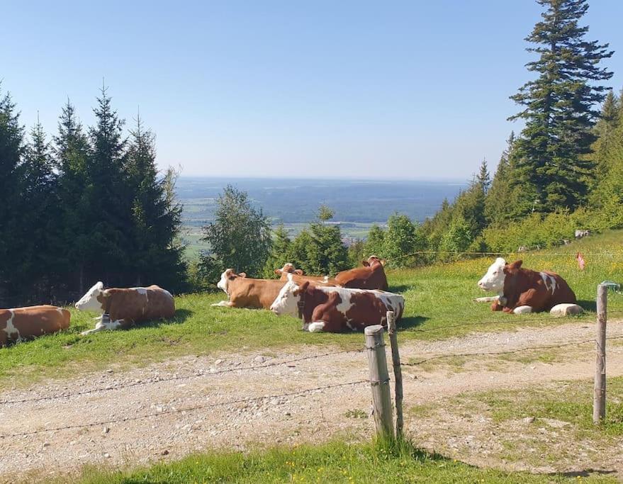 Romantisches Alpenchalet - Mit Sauna Und Kamin - Ruhig Und Zentral Bad Tolz Luaran gambar